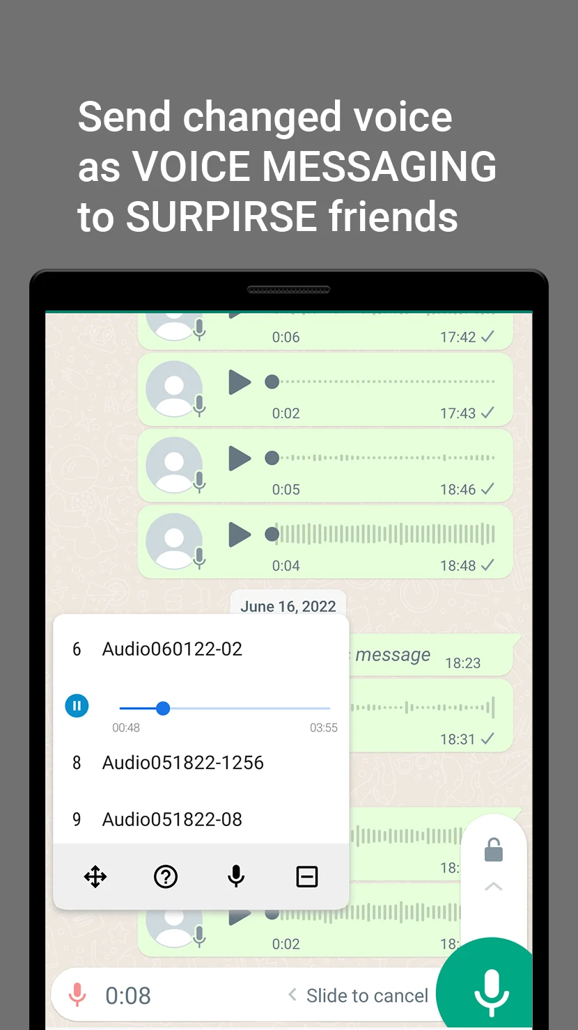 Super Voice Changer & Effects screenshot